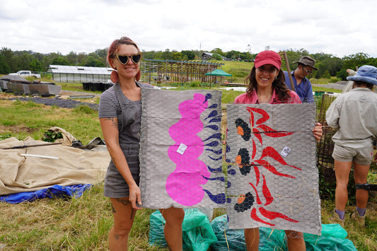 We’re composting our new Dancing Daisies blanket at Loop Growers