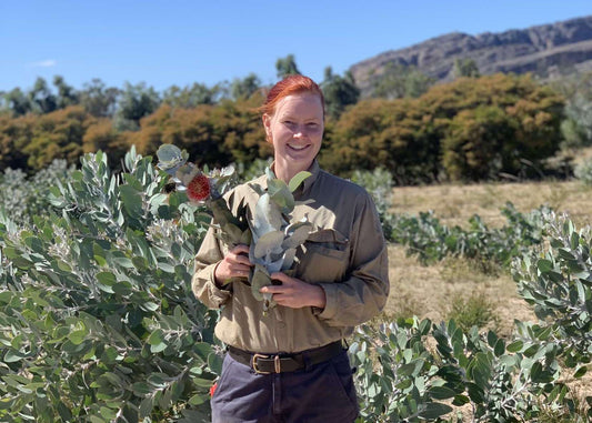 Rose Feely: Worshipping endemic plant communities through pattern design and printmaking