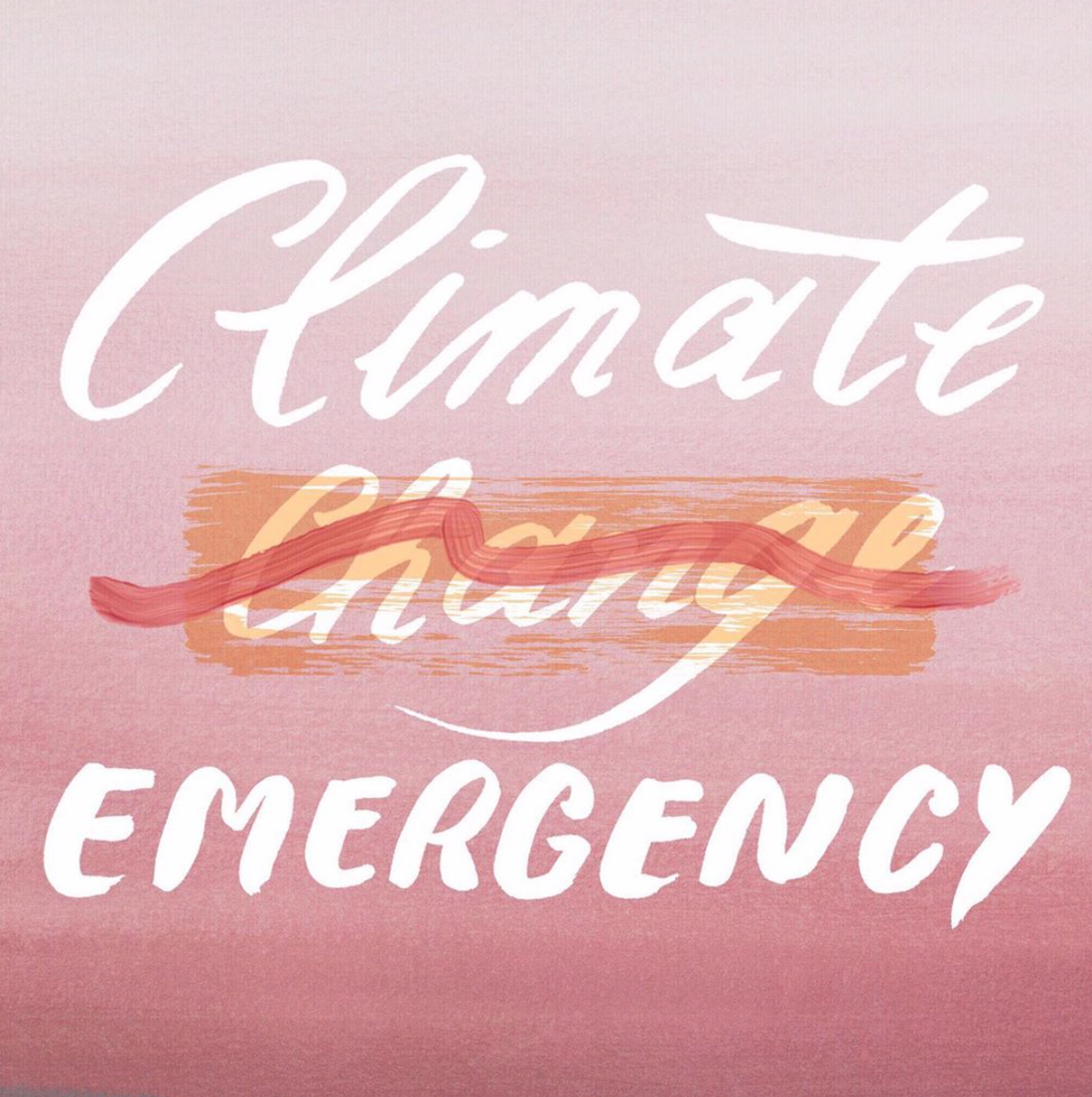 It’s a climate emergency: what do we do now?