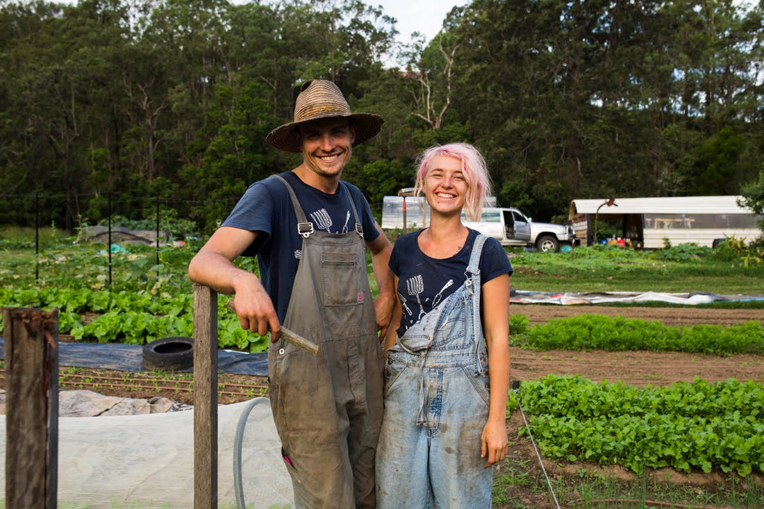 Loop Growers: the closed loop composting system feeding Brisbane cafes